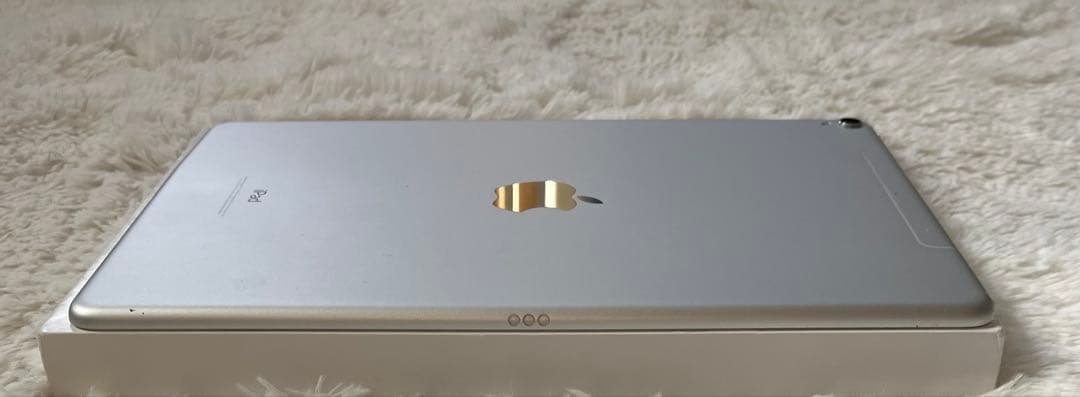 【完動品】iPad Pro 10.5 256GB SIMフリー 【付属品】