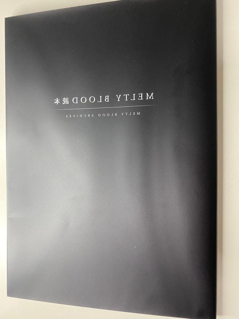 【ソフト付属無し】月姫/魔法使いの夜/メルブラサムレム...etcその他合計4箱