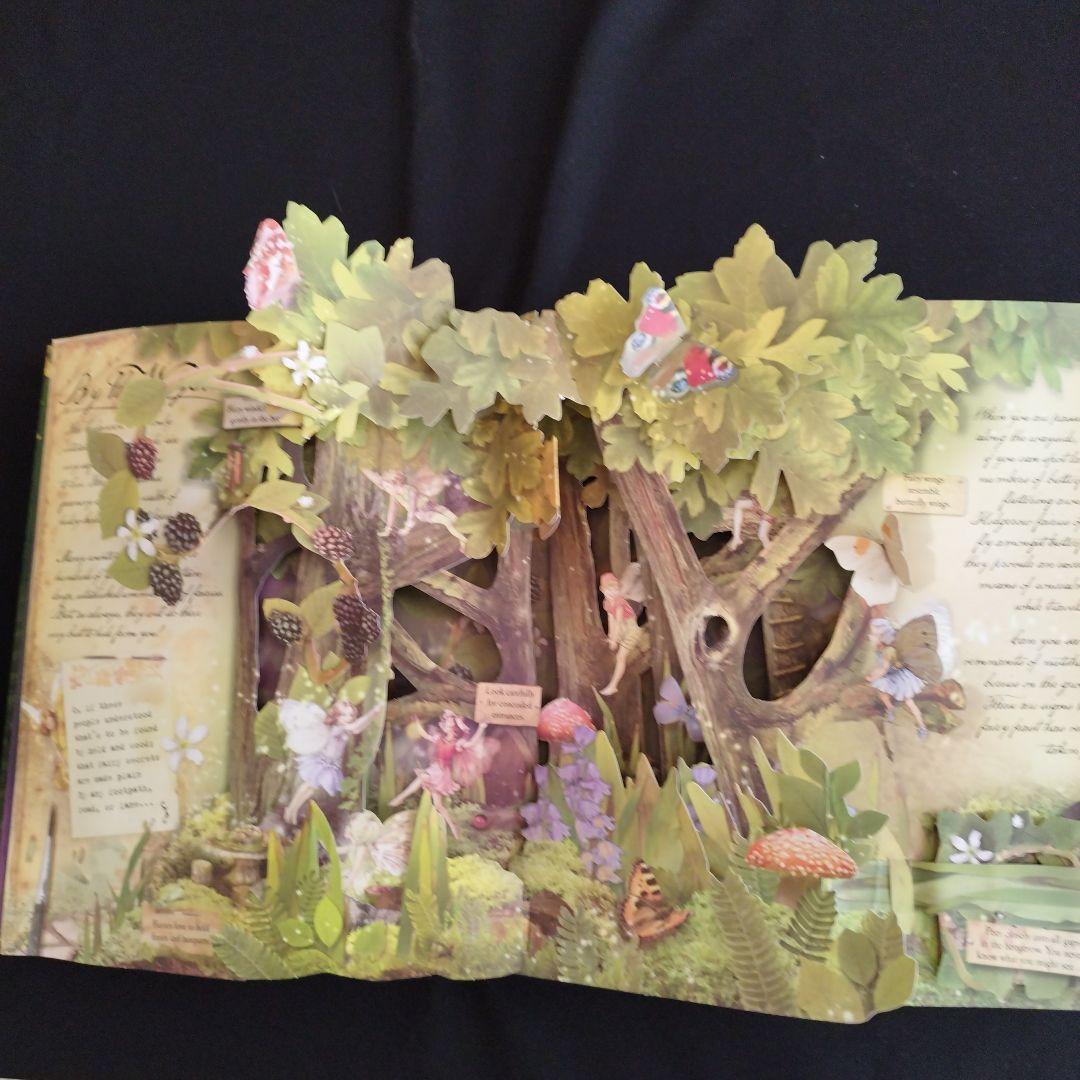 How to Find Flower Fairies 立体仕掛け本ハードカバー