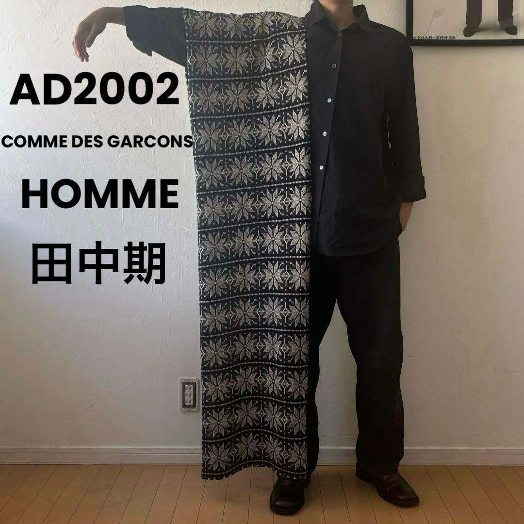【AD2002】COMME des GARÇONS HOMME 田中オム 超大判