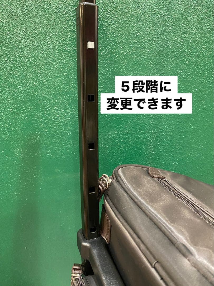 スワニー　キャリーバック リニーエ ショッピングカート