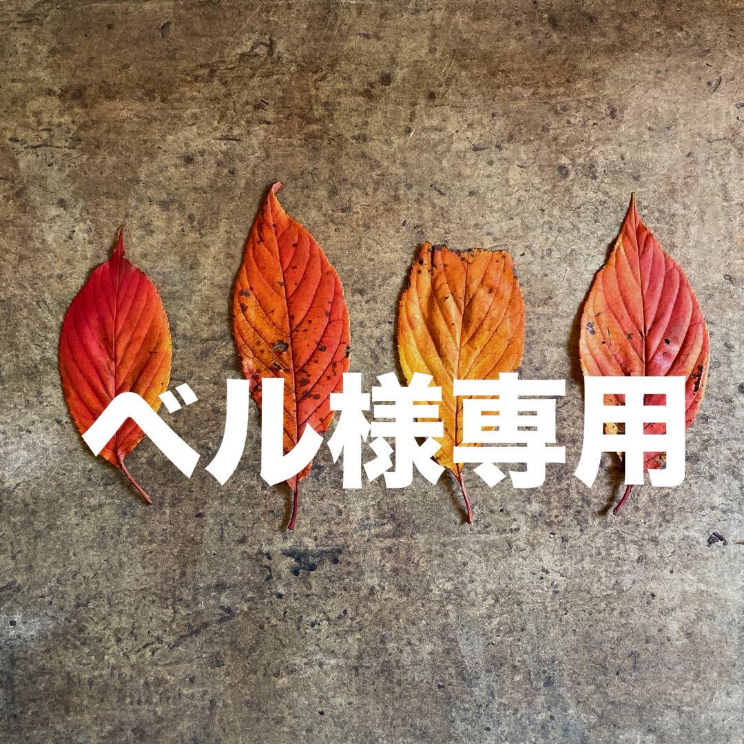 ベル様ご確認用