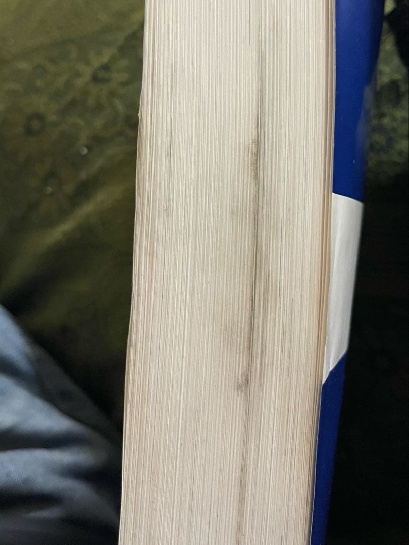 Hisato SUZUKI GSX-S1000A/FAサービスマニュアル