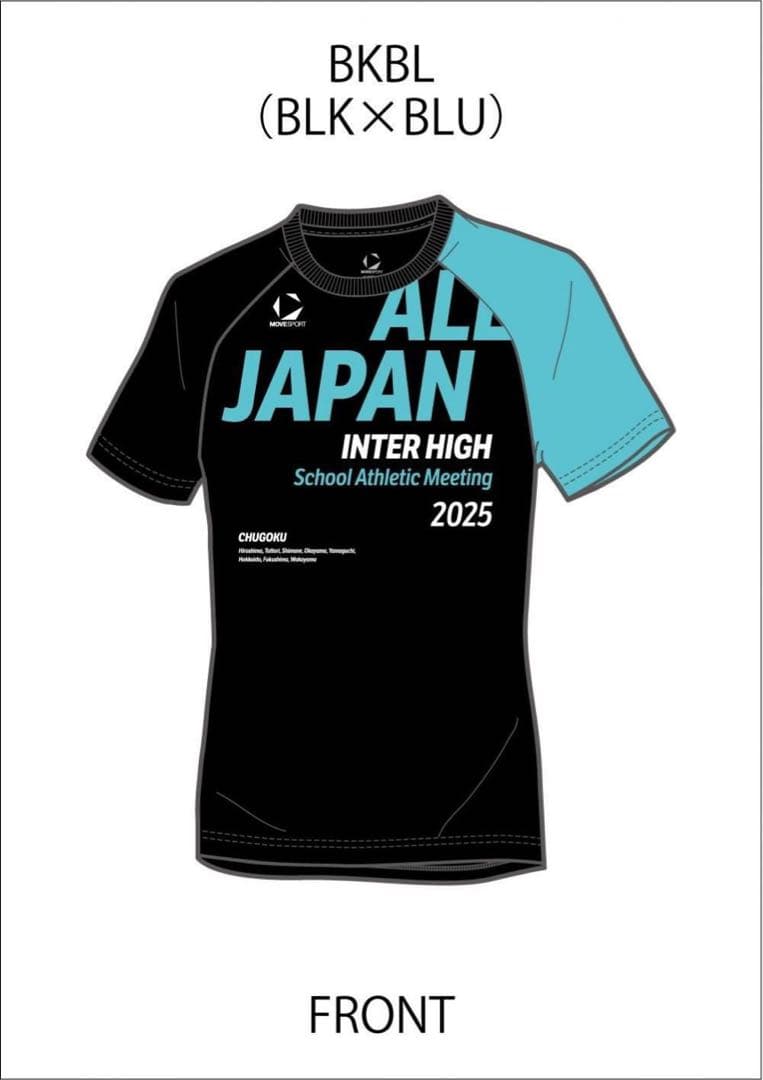 デサント インターハイ Tシャツ ALL JAPAN 陸上 バレーボール
