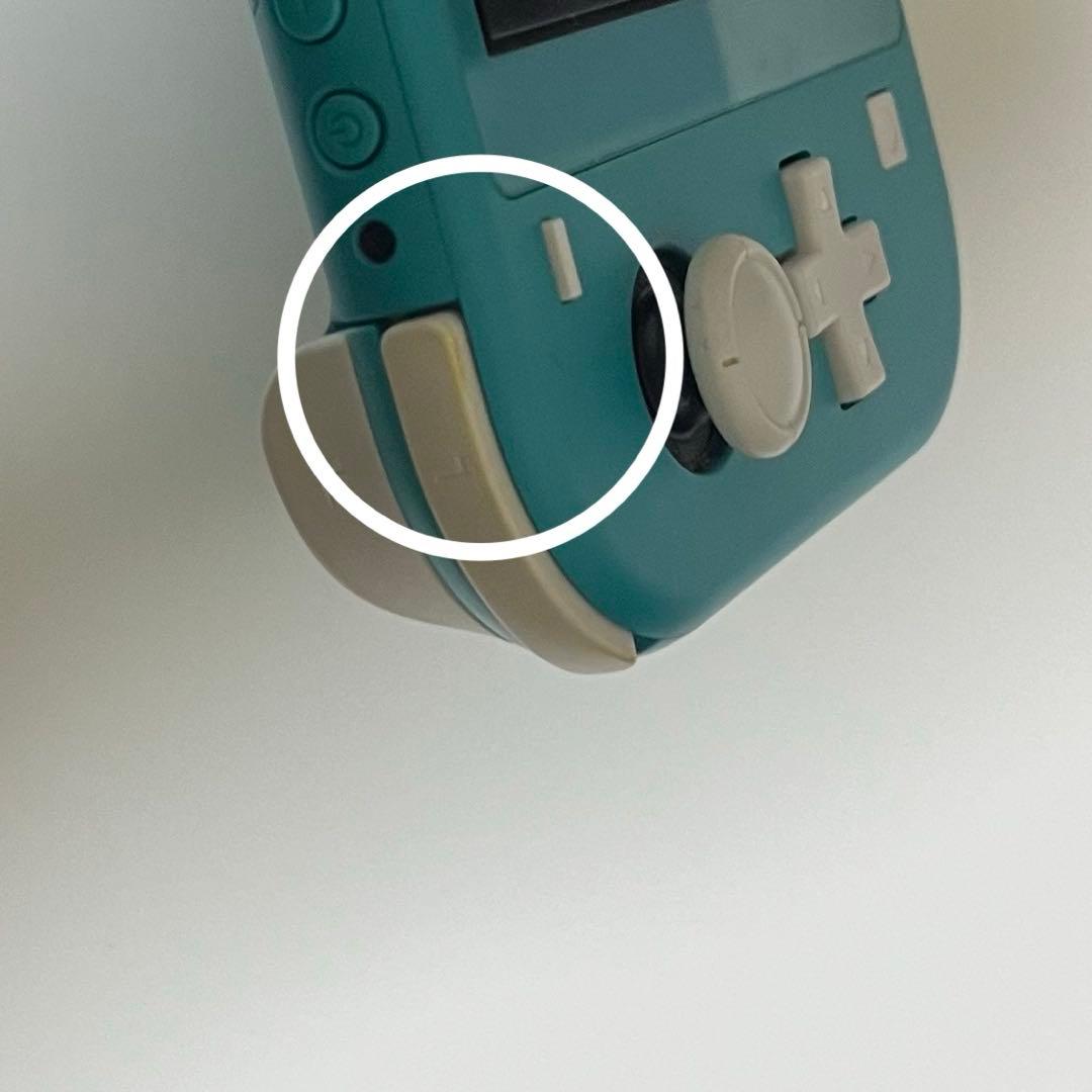 Switch Lite 本体 ターコイズ スウィッチ ライト　おまけのケース付き