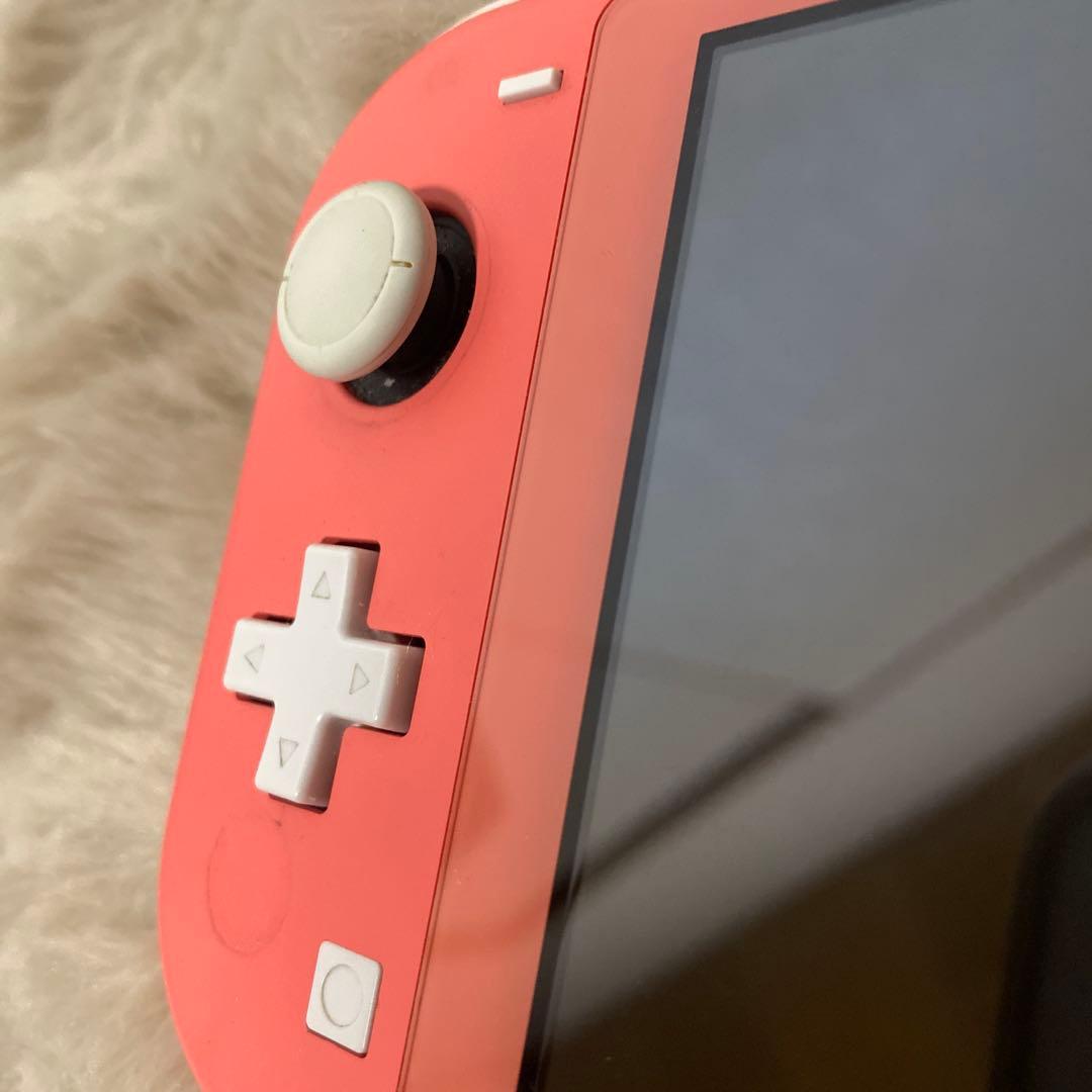 Switchライト⭐︎ソフト付き