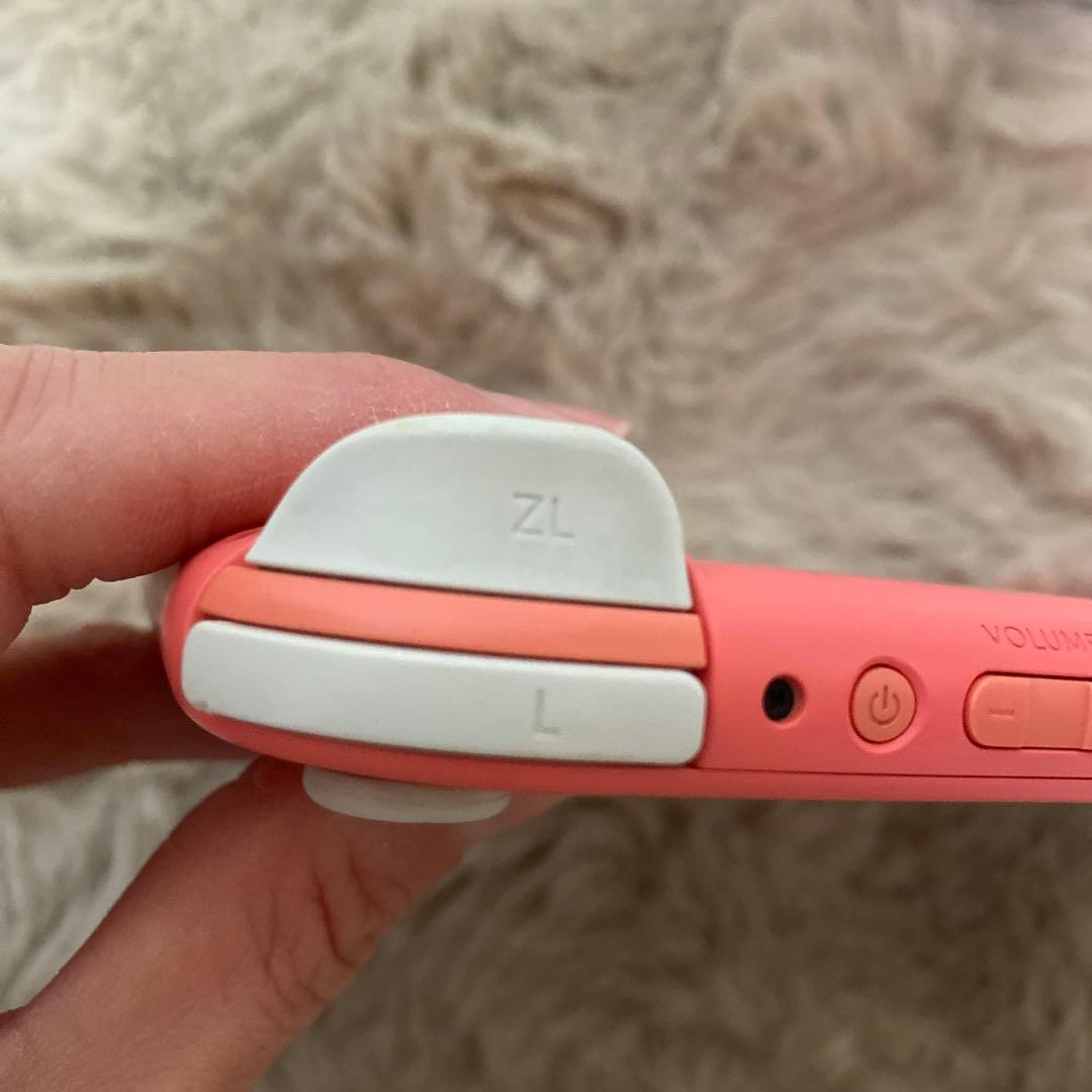 Switchライト⭐︎ソフト付き