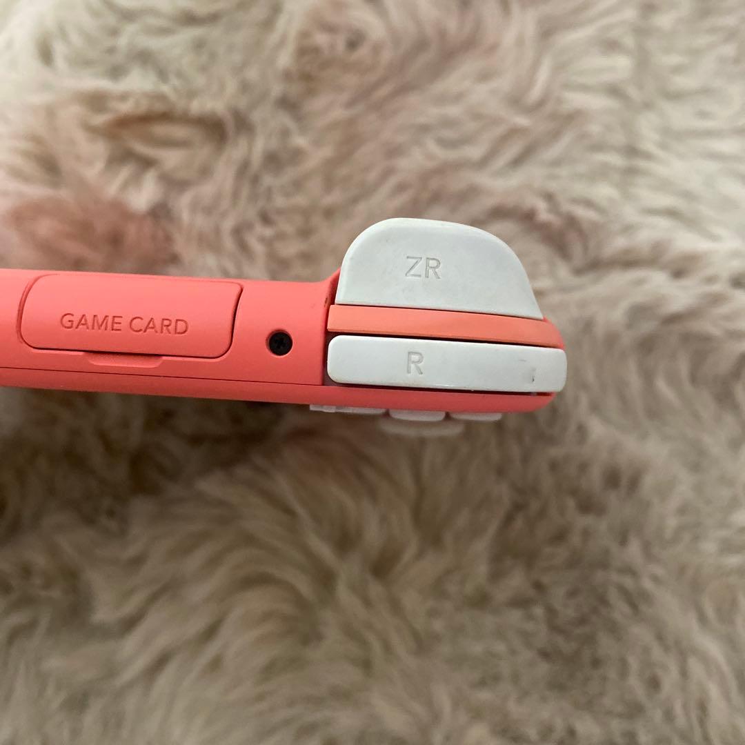 Switchライト⭐︎ソフト付き