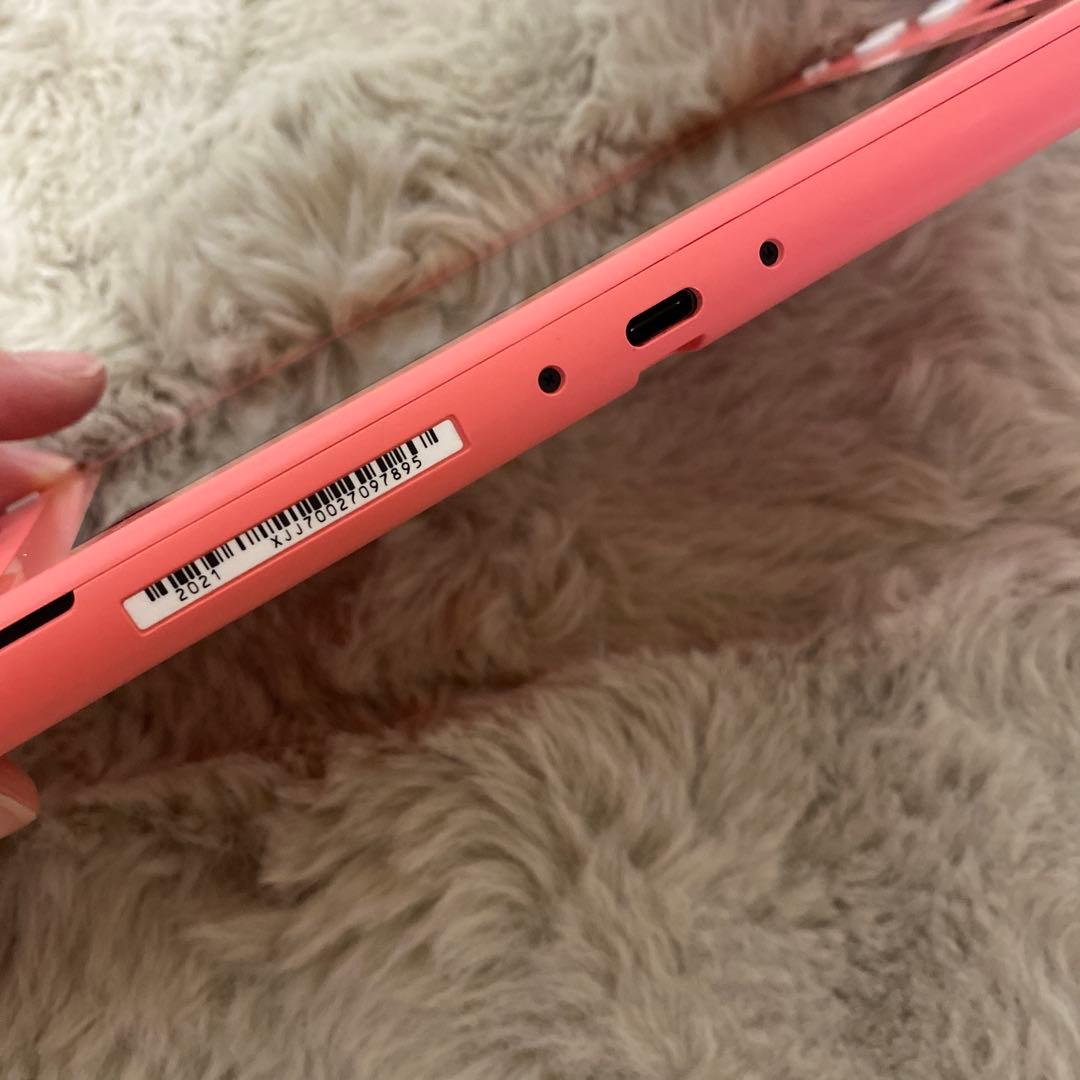 Switchライト⭐︎ソフト付き