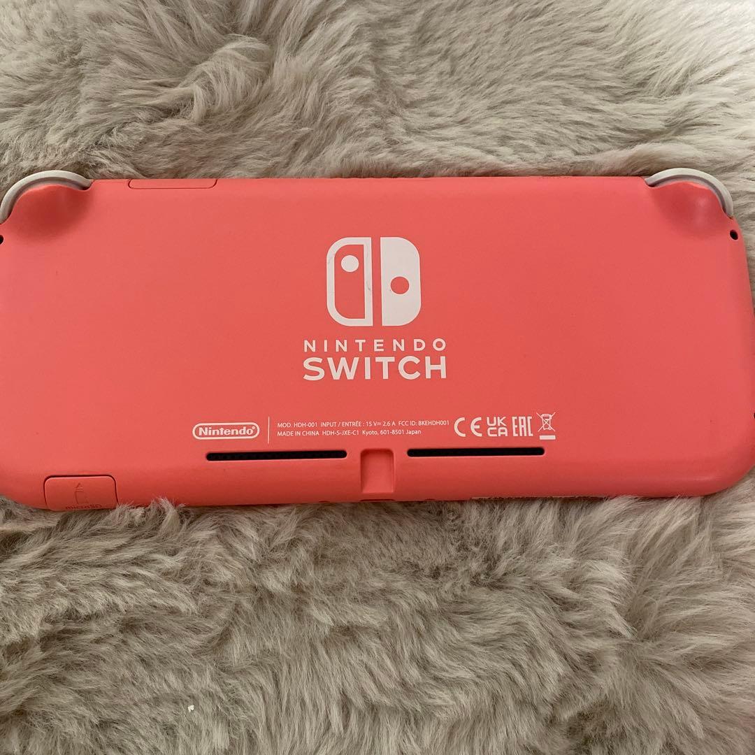 Switchライト⭐︎ソフト付き