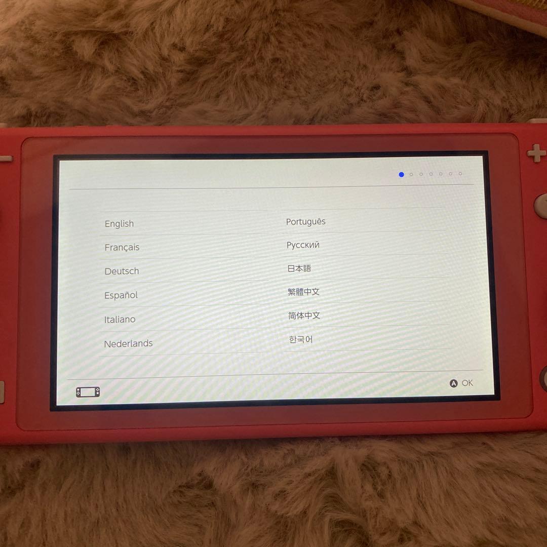 Switchライト⭐︎ソフト付き