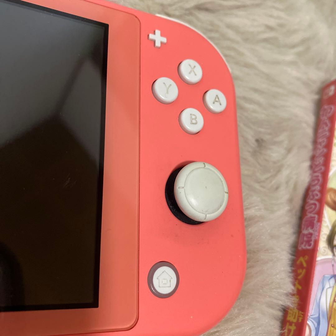 Switchライト⭐︎ソフト付き