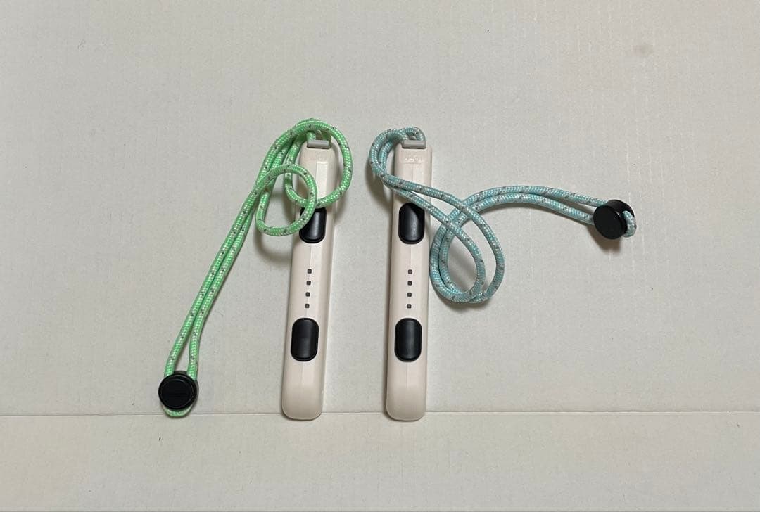 Switchどうぶつの森セット＋Ring Fit Adventure