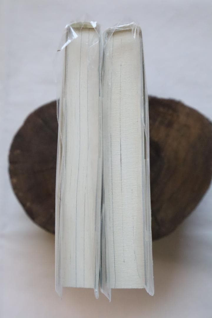 幻想水滸伝4 中巻下巻 2冊セット 高瀬美恵著　／幻想水滸伝Ⅳ