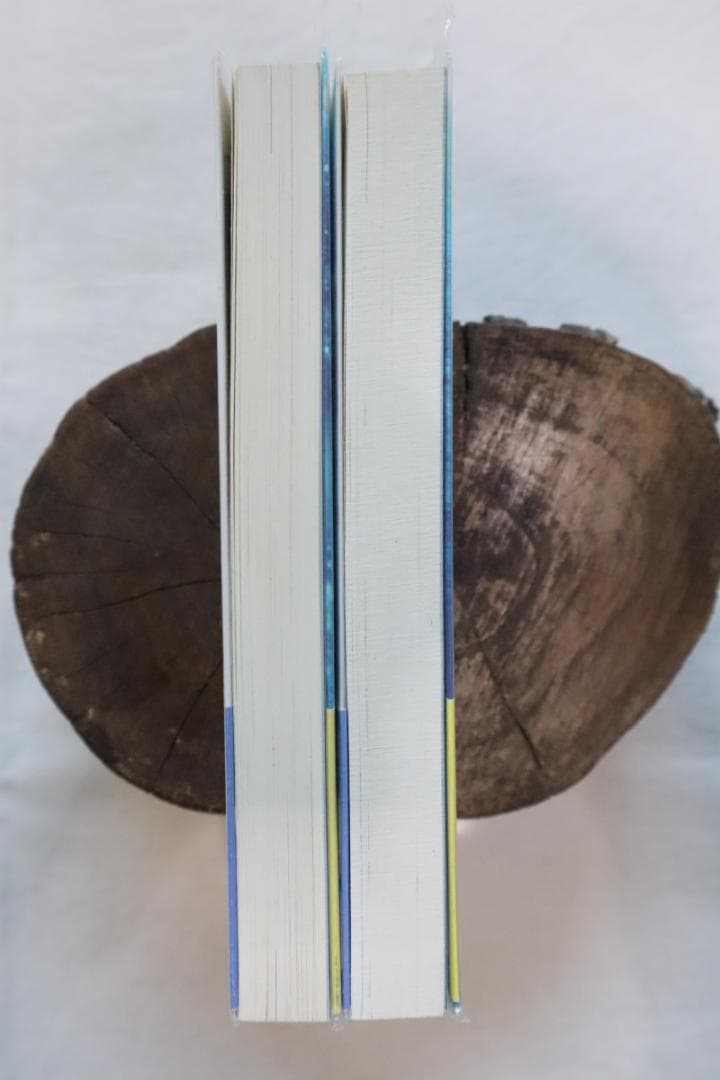 幻想水滸伝4 中巻下巻 2冊セット 高瀬美恵著　／幻想水滸伝Ⅳ