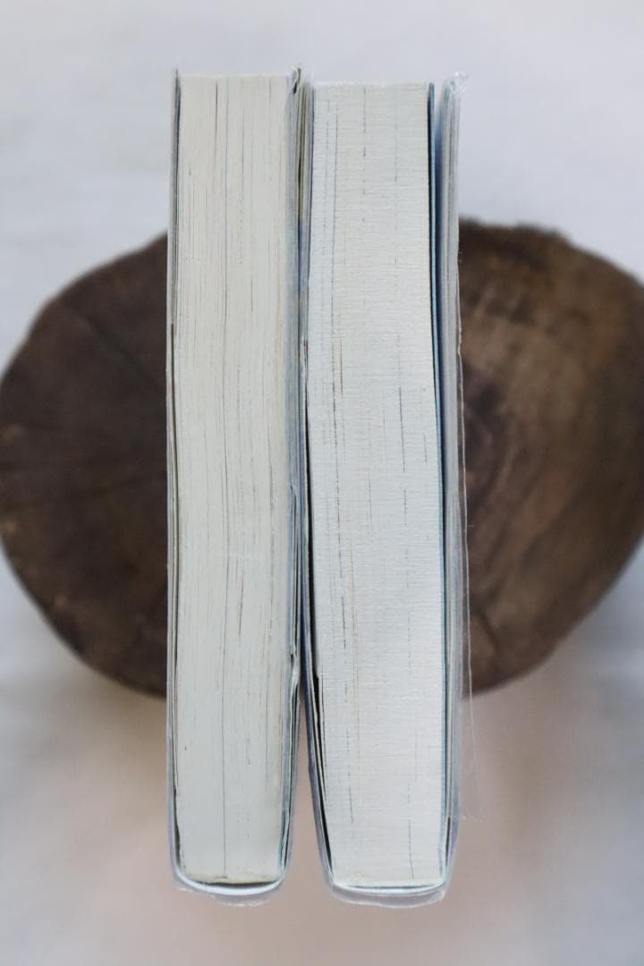 幻想水滸伝4 中巻下巻 2冊セット 高瀬美恵著　／幻想水滸伝Ⅳ