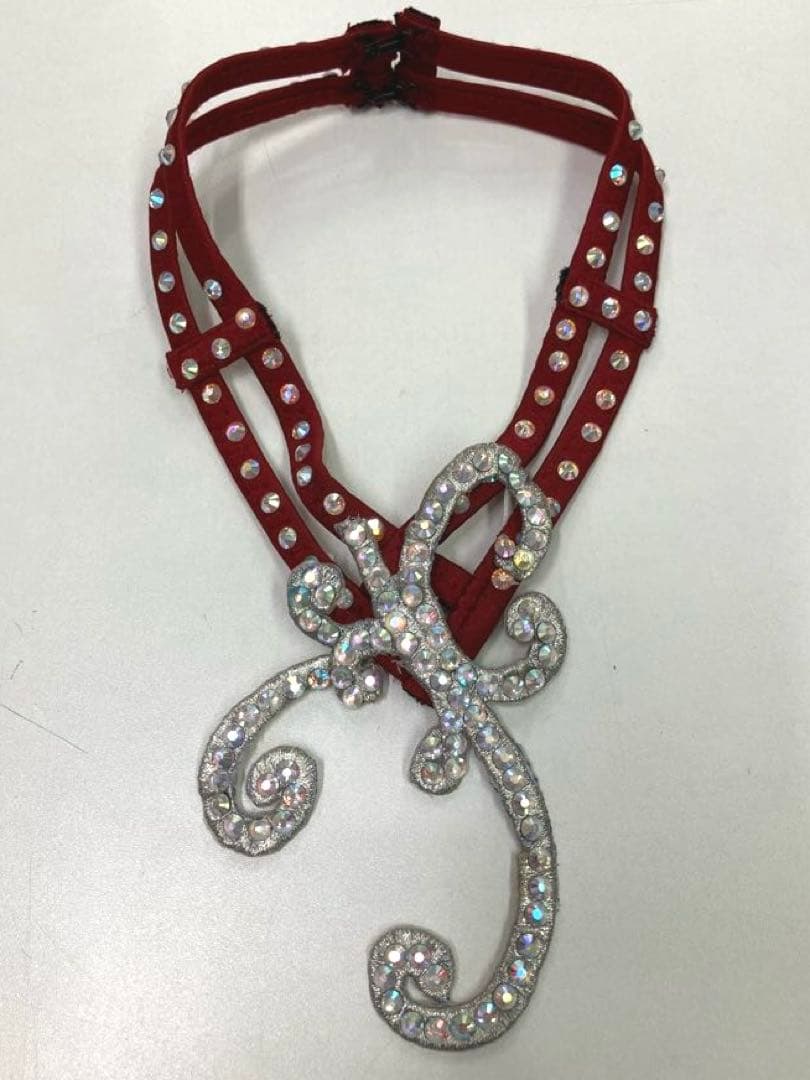 社交ダンス　スタンダードドレス　モダンドレス　赤　スパンコール