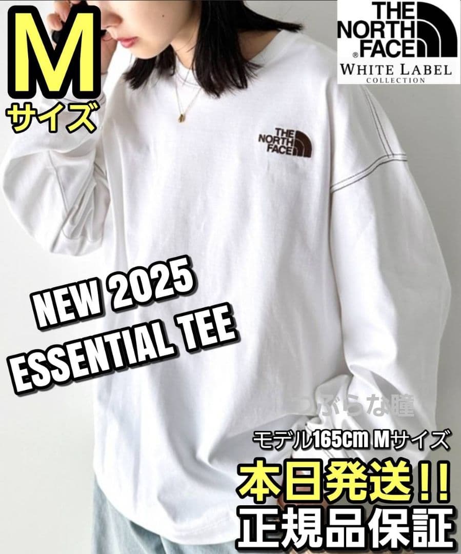 THE NORTH FACE WHITE LABEL Mサイズ TEEホワイト