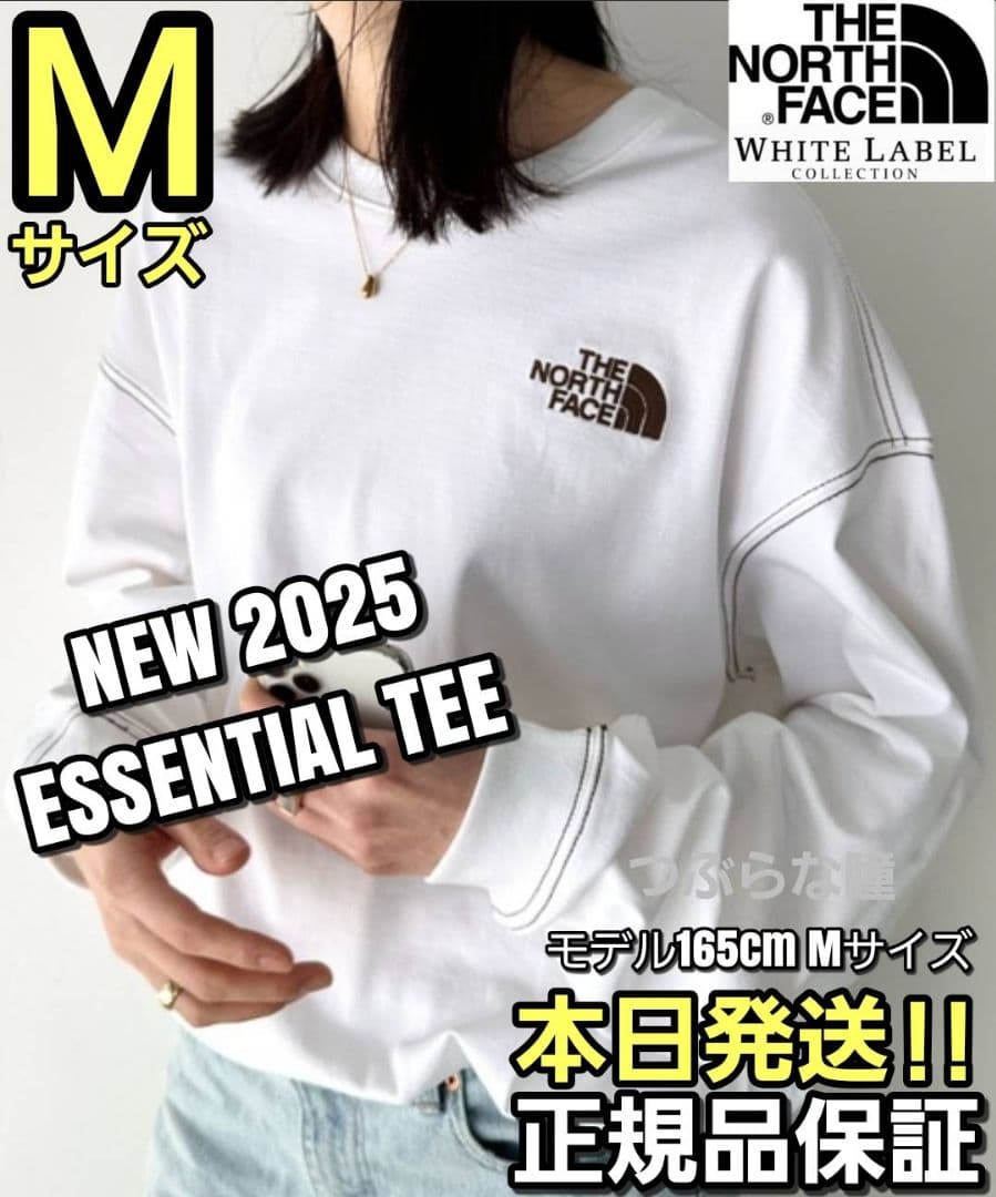 THE NORTH FACE WHITE LABEL Mサイズ TEEホワイト