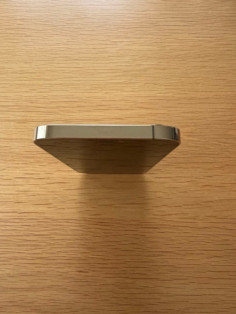 Apple iPhone 12 Pro Max オマケ付き