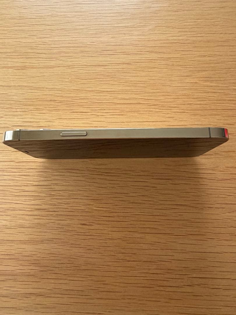 Apple iPhone 12 Pro Max オマケ付き