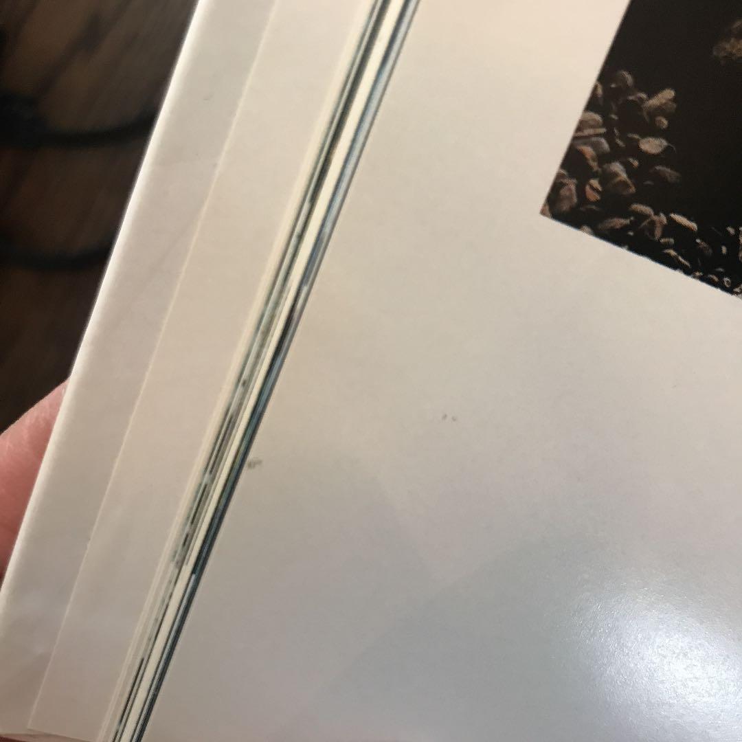 bump of chiken  サーフフォトポーキン 写真集