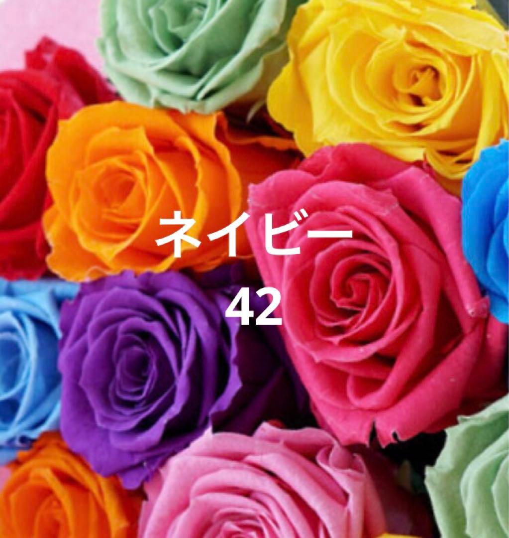 新品タグ付【'S MAX MARA】42ESTURIAクチートアマーノネイビー