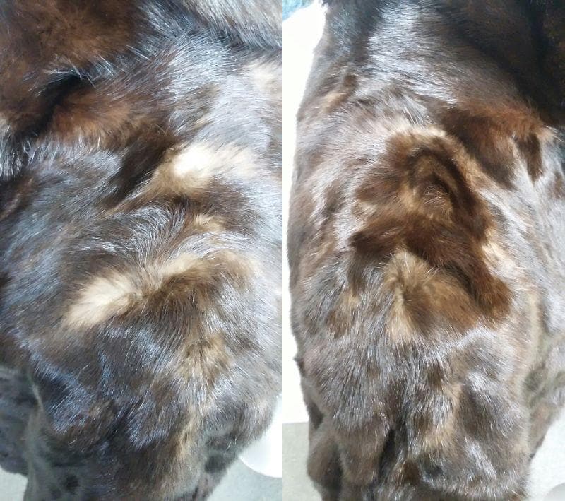 ROTINY　ロティニー　MINK　ミンク　毛皮 　ロングコート　ダークブラウン