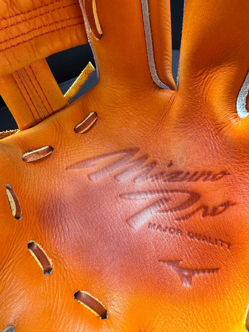 Mizuno 硬式用グローブ　テネイシャスプロエリート