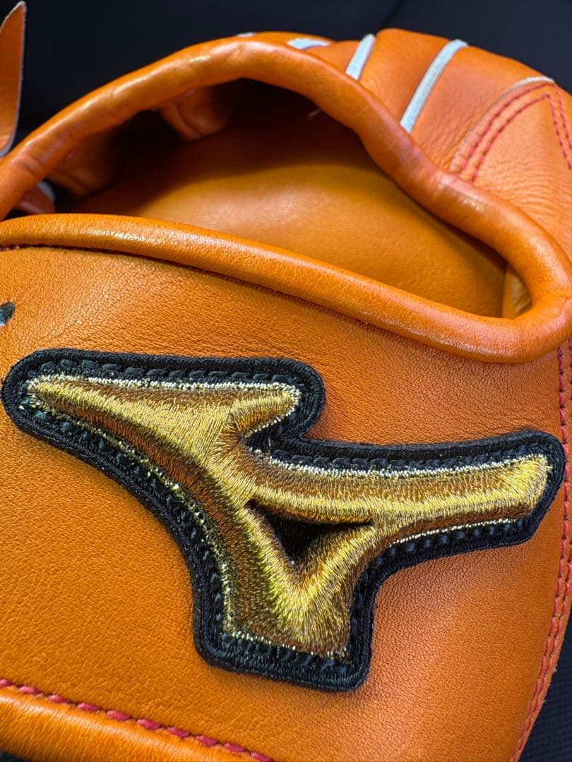 Mizuno 硬式用グローブ　テネイシャスプロエリート