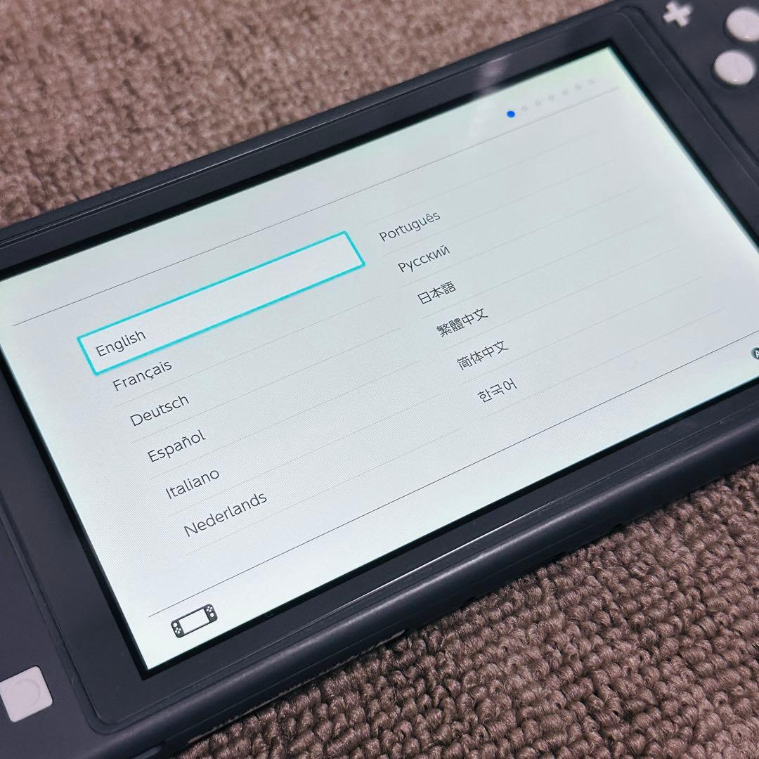 Nintendo Switch Lite グレー 本体　中古品　箱無し