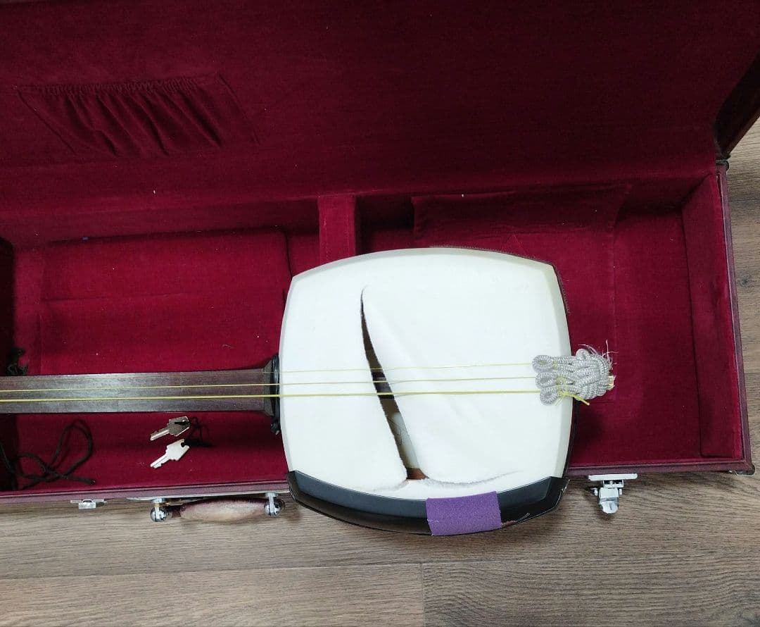 津軽三味線本体 鳥の絵柄 ハードケース付