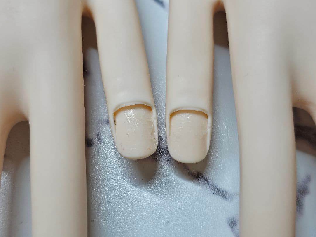 ネイリスト技能検定試験用　JNEC認定モデルハンド 2セット