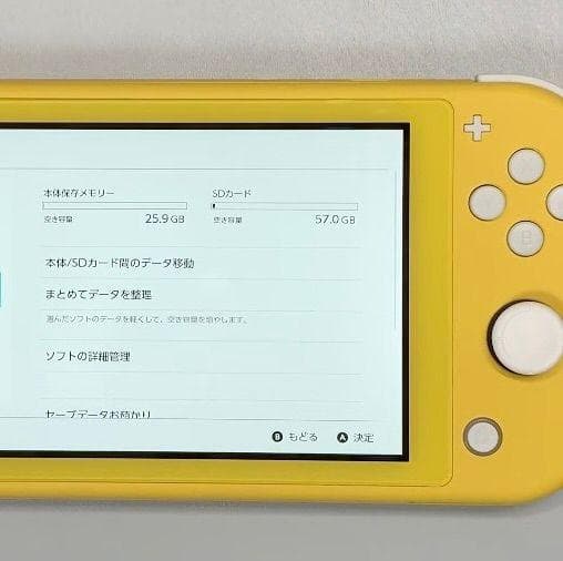 Nintendo Switch Lite 本体 動作品　2024