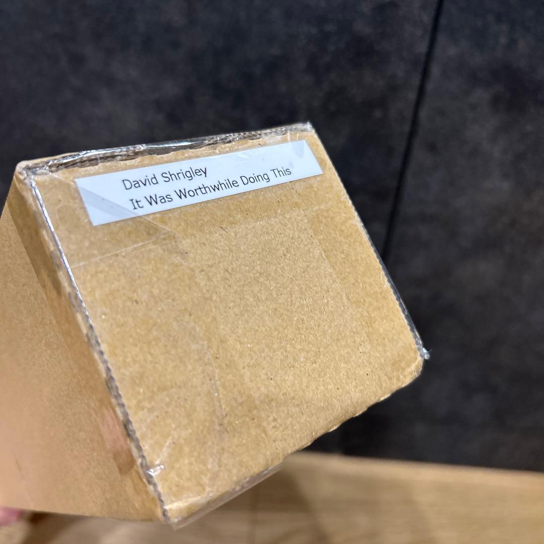 新品未使用 David Shrigley ポスター フレームなし