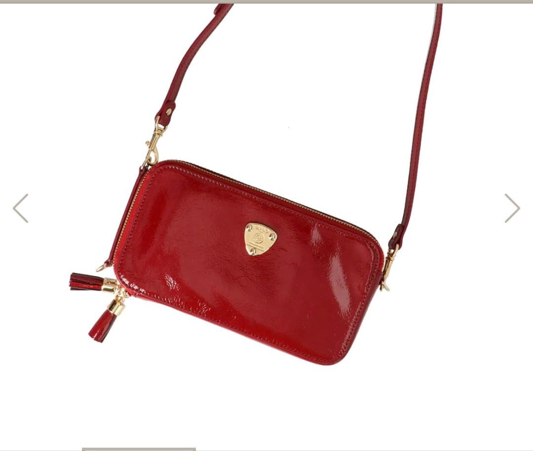 ATAO福袋　アミュレットL字ファスナー　ペタンコショルダーセット