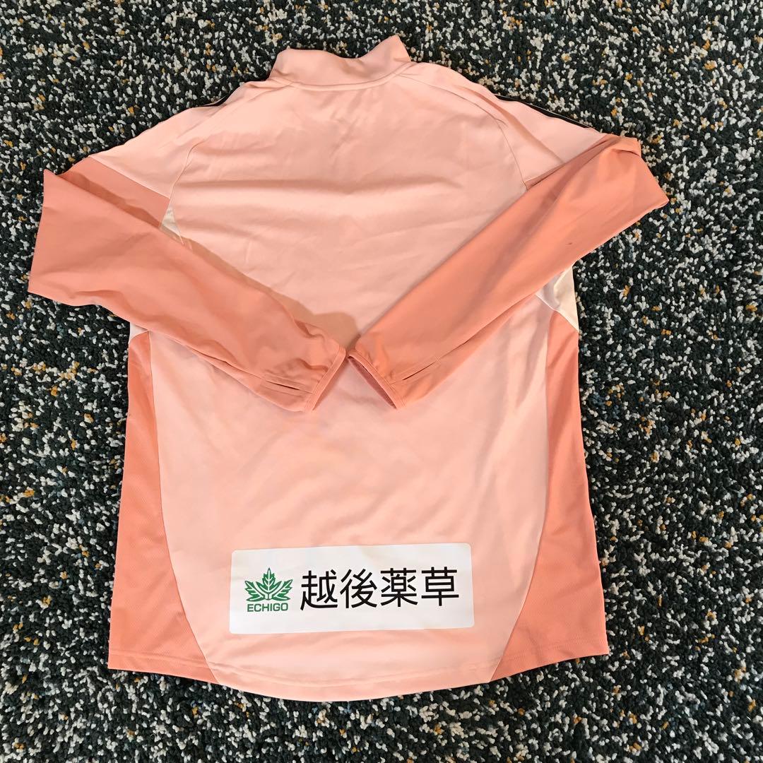 アルビレックス新潟トレーニングウエア25モデル 試着のみ