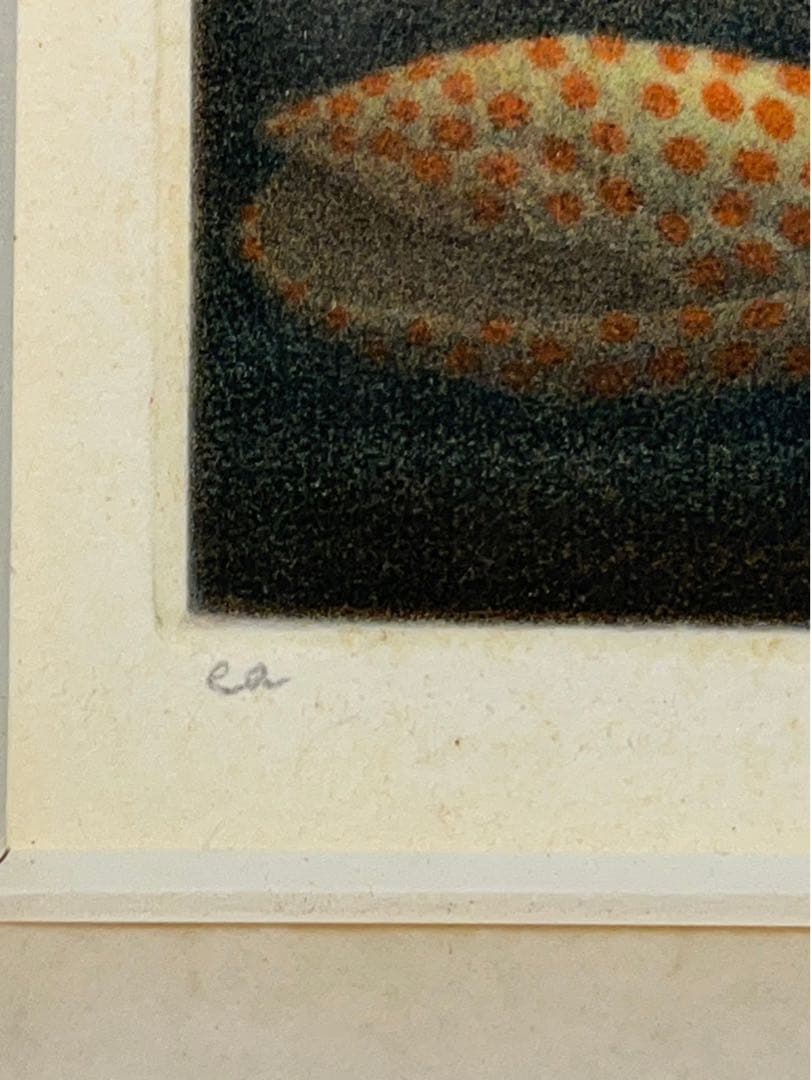 浜口陽三「貝」銅版画 EA版 直筆サイン入り 額装済