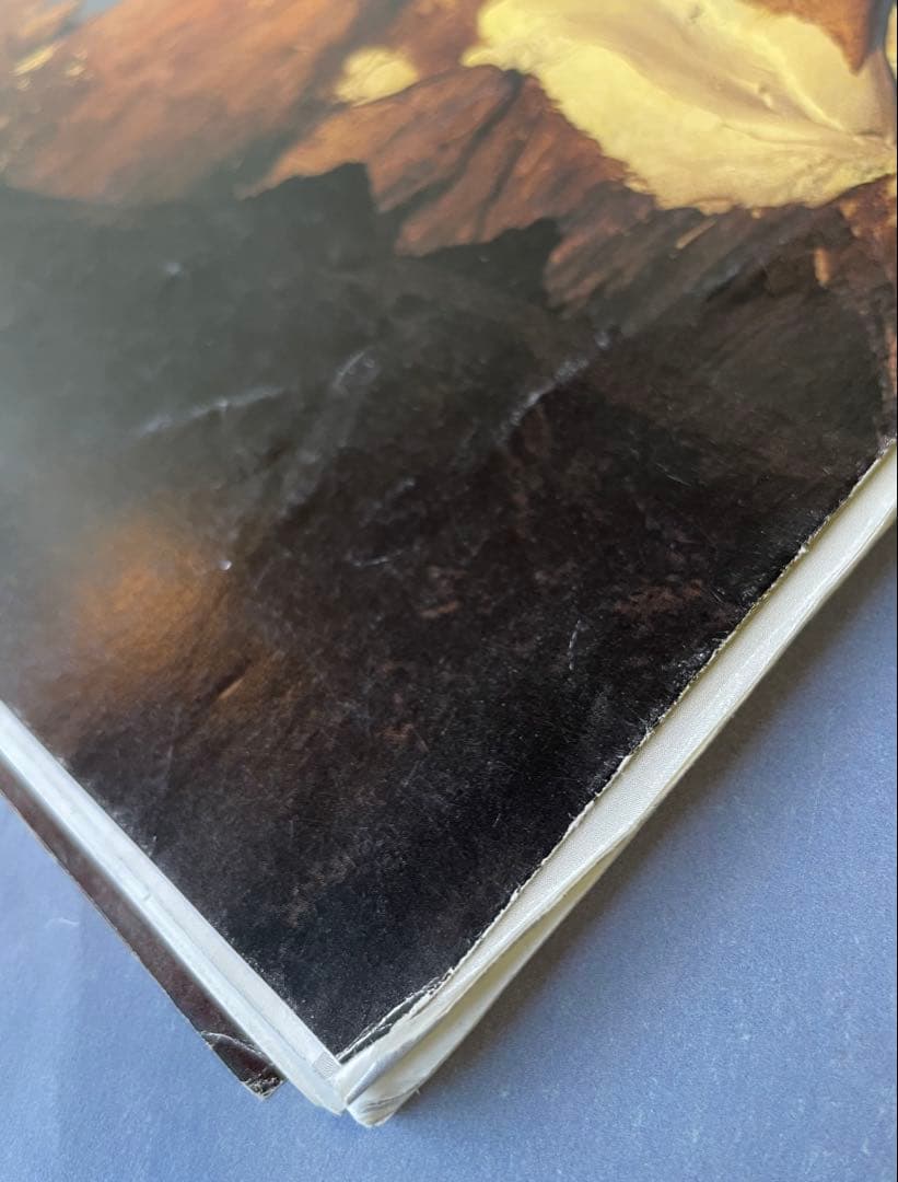 【希少】 パタゴニア patagonia カタログ fall 2002