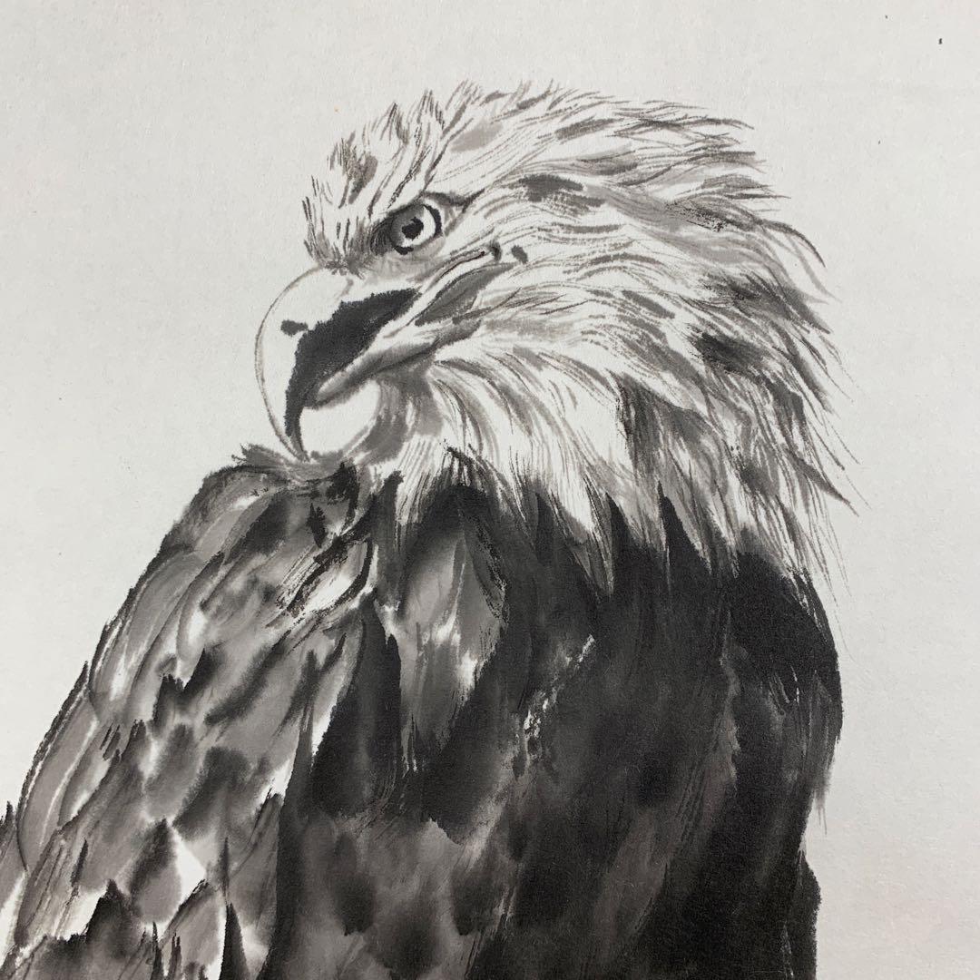 美品 掛け軸 現代水墨画家 絵師白道作「白頭鷲」共箱 墨絵 水墨画