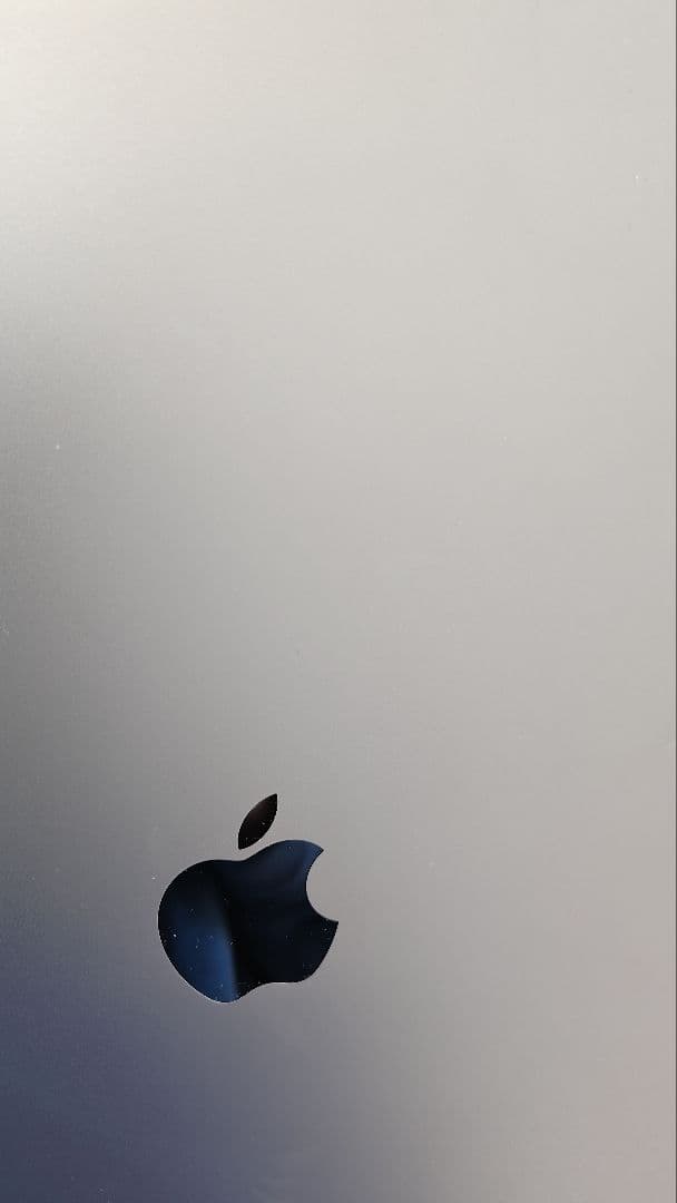 た*た様 iPad Pro (第1世代) 12.9インチ 256GB wifi+