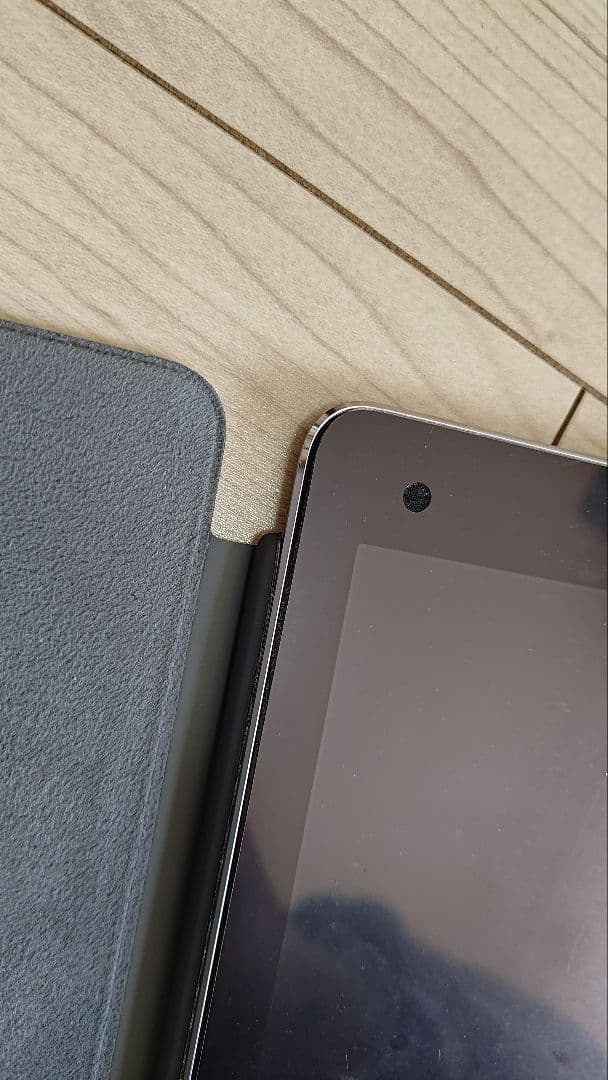 た*た様 iPad Pro (第1世代) 12.9インチ 256GB wifi+