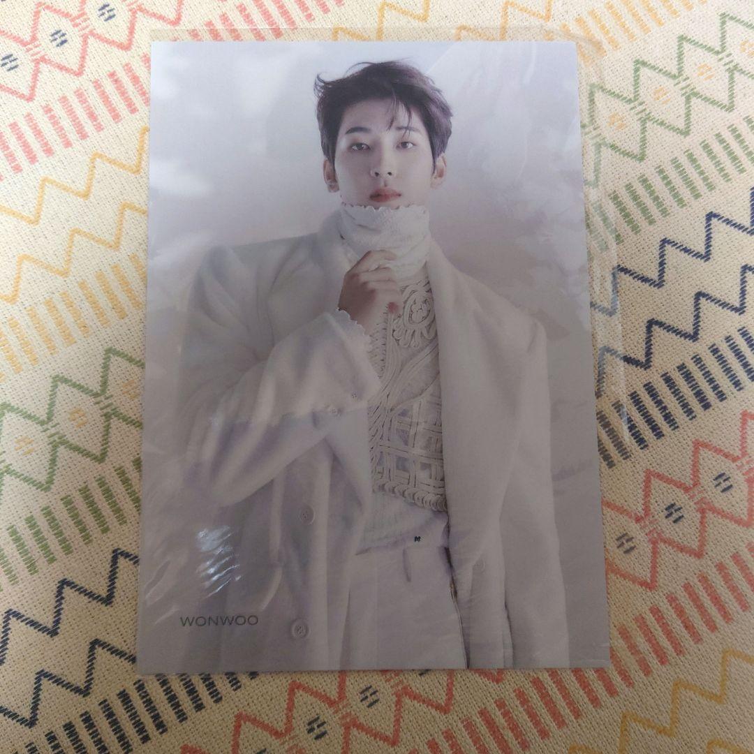 SEVENTEEN セブチ ウォヌ あいのちから フライヤー WONWOO