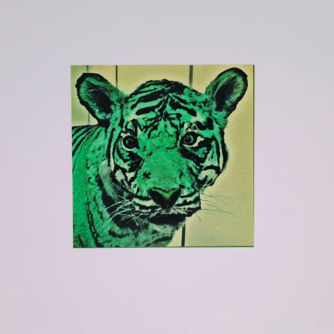 邦楽 JJJ ggg CD Fla$hbacks