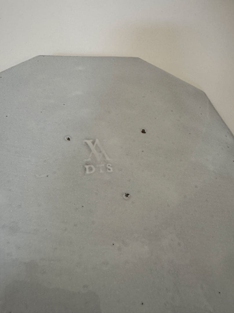 【P】ASTIER de VILLATTEアスティエディナープレート 24cm