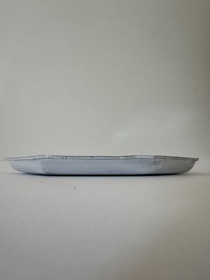 【P】ASTIER de VILLATTEアスティエディナープレート 24cm