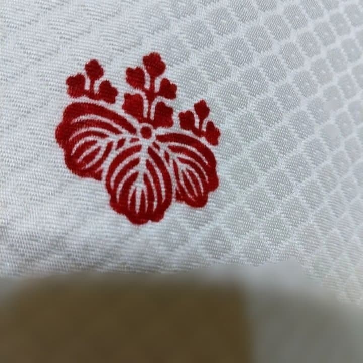 掛下匹田模様丸なし五つ紋桐イ