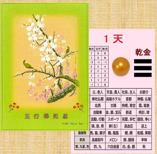 梅花心易入門＆五行梅花易カードセット