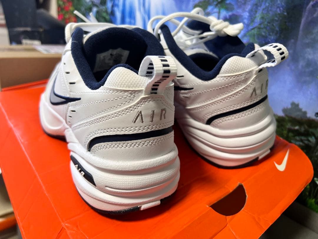 シューズ(男性用) NIKE IAR size 25cm