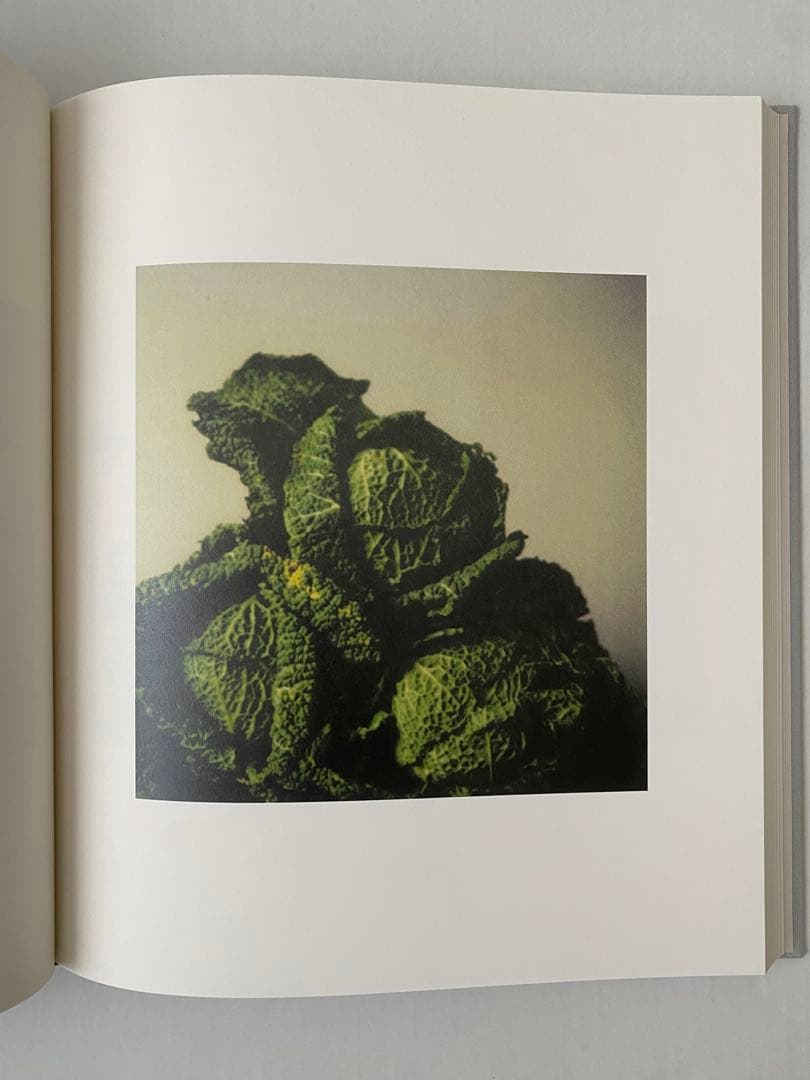 Cy Twombly サイ・トゥオンブリーの写真　変奏のリリシズム